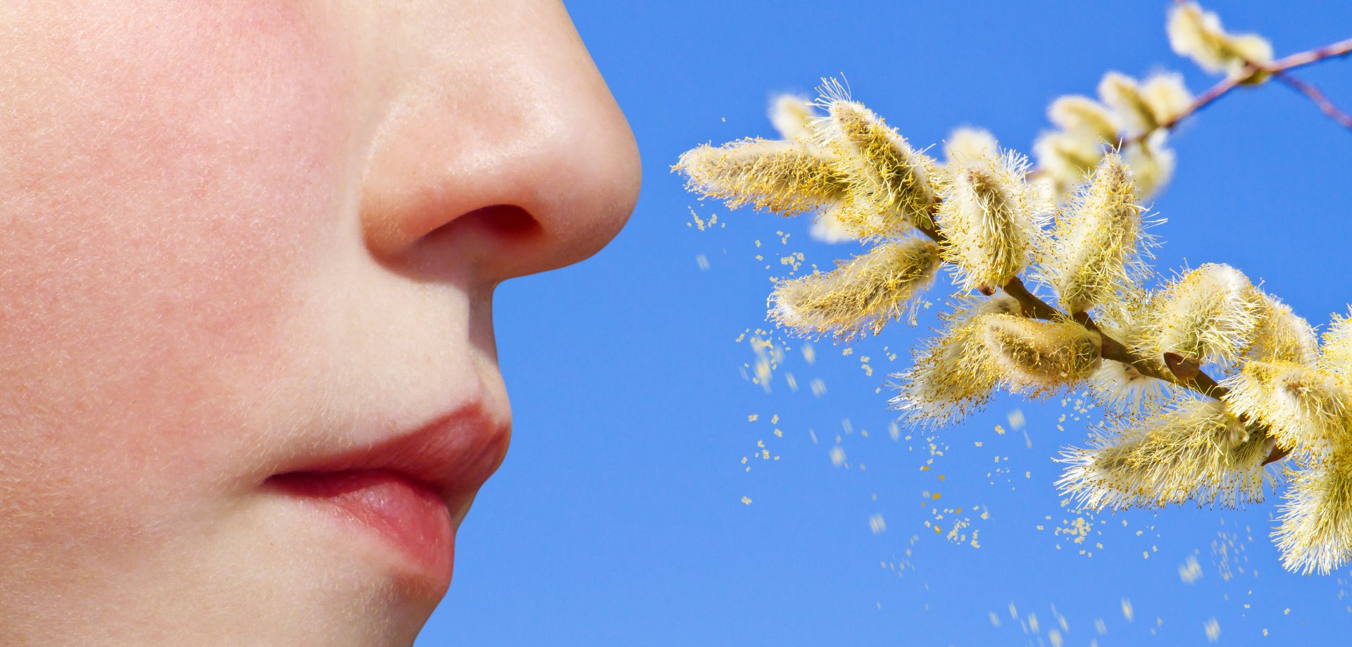 allergy, pollen, edina, woodbury, naturopathic doctor, natural treatment