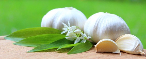 healing benefits of garlic