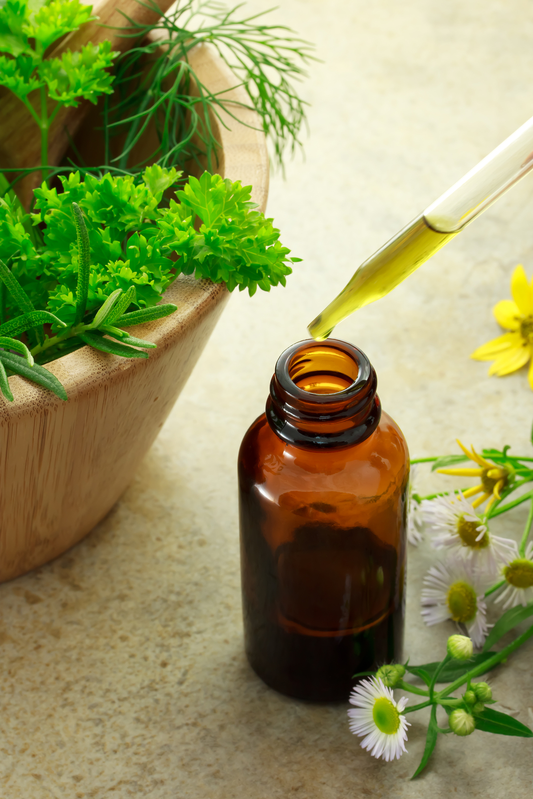 Botanical, herbs, allergies, asthma, natural treatments
