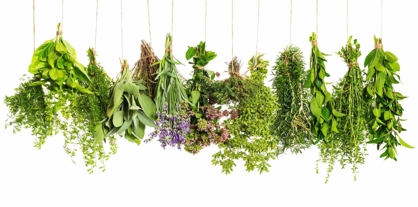 Mint, herbs, natural, fresh, energy